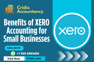 Benefits of Xero Accounting