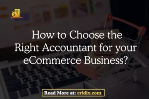 accountant for ecommerce business