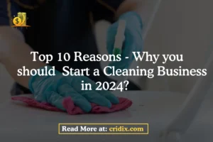 Cleaning Business