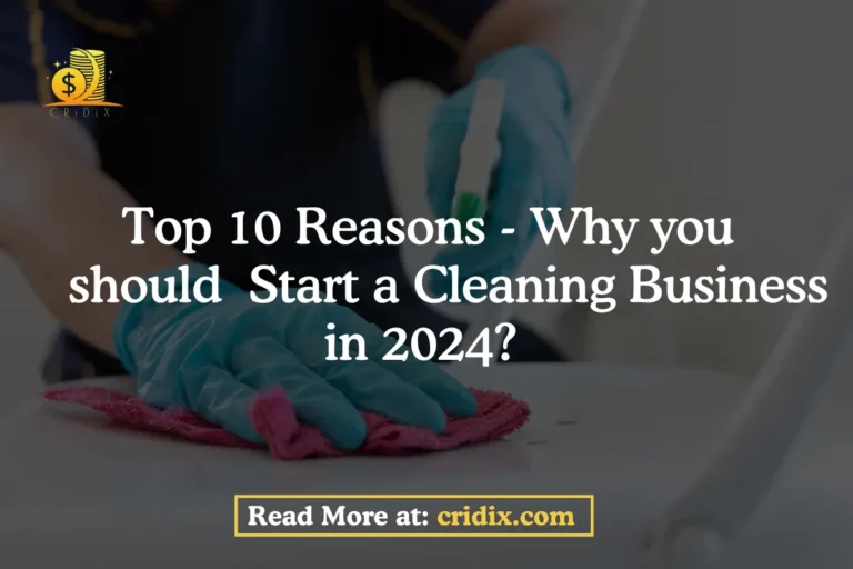 Cleaning Business