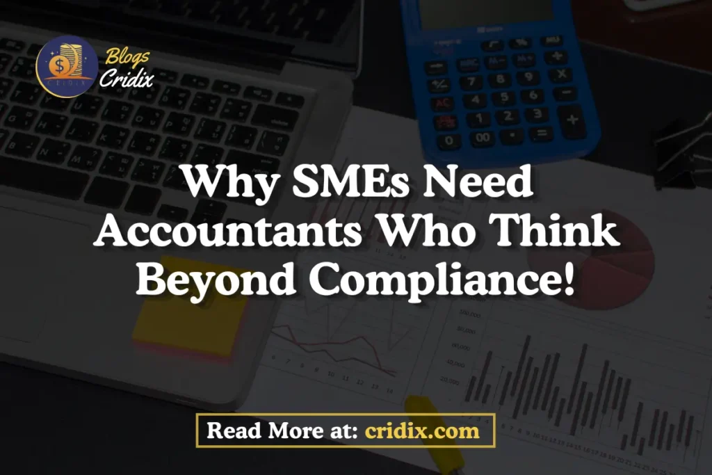SMEs Need Accountants Beyond Compliance
